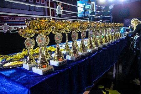 Победителям и призерам Кубка Приморского края по смешанному боевому единоборству вручили награды