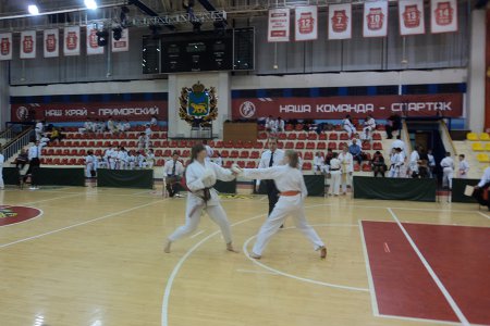 Лесозаводские каратисты завоевали восемь медалей краевого первенства
