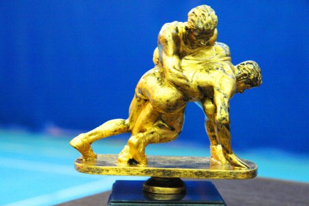 Первенство ДВФО по греко-римской борьбе собрало сильнейших спортсменов
