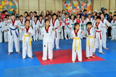 Соревнования по тхэквондо ВТФ прошли в Уссурийске в рамках проекта «Детский спорт»