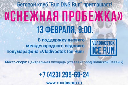 13    "Run DNS Run"  " "