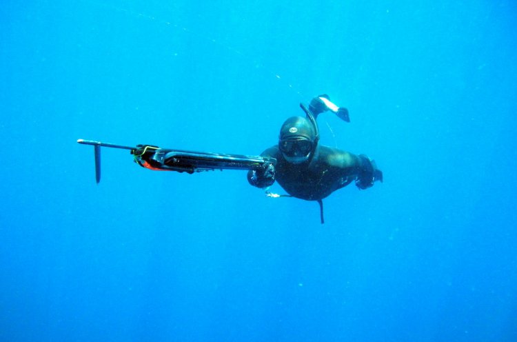 XII Кубок Тихого океана по подводной охоте пройдет с 15 по 18 сентября