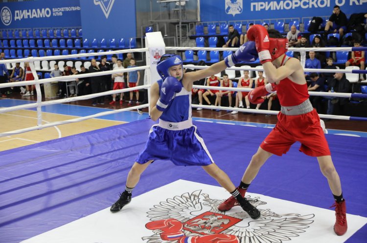 Первенство Дальнего Востока по боксу стартовало в Приморье