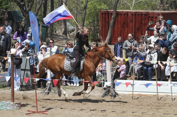 Фестиваль «Конные традиции России» состоялся в краевой столице