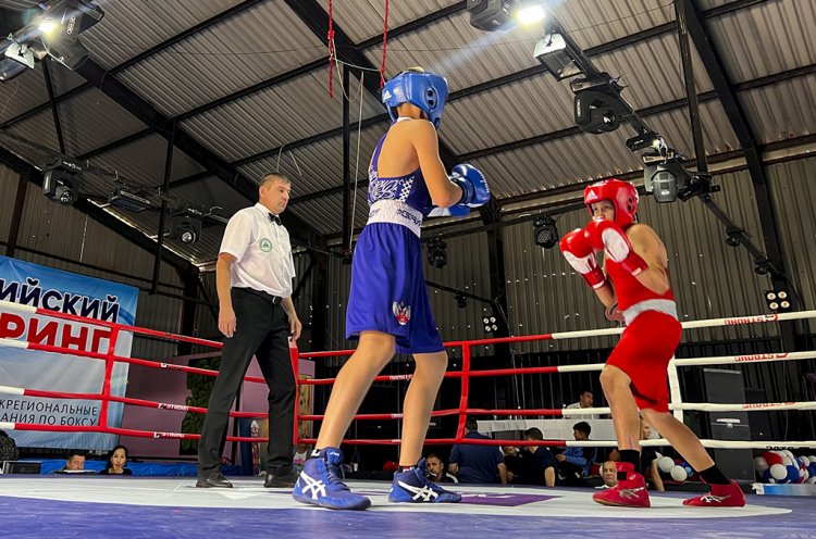 Межрегиональный турнир по боксу «Ливадийский ринг» прошел в Приморье